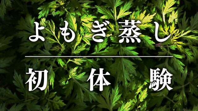 初体験】「よもぎ蒸し」行ってきた！効果は？体験談とその後の